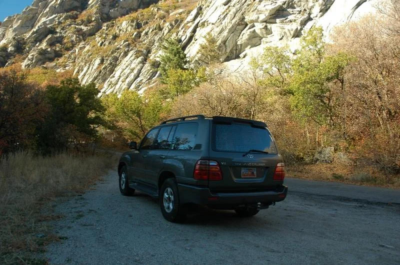 DSC_7364 - Med.webp