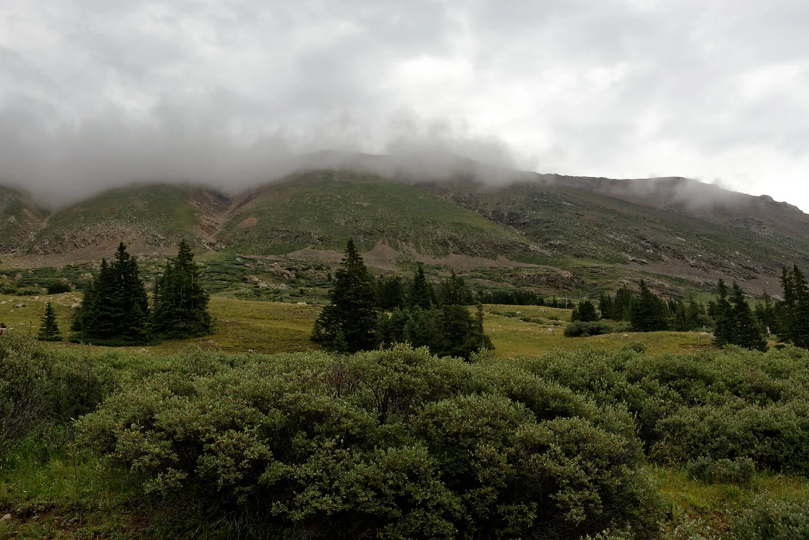 DSC_7435_web.jpg