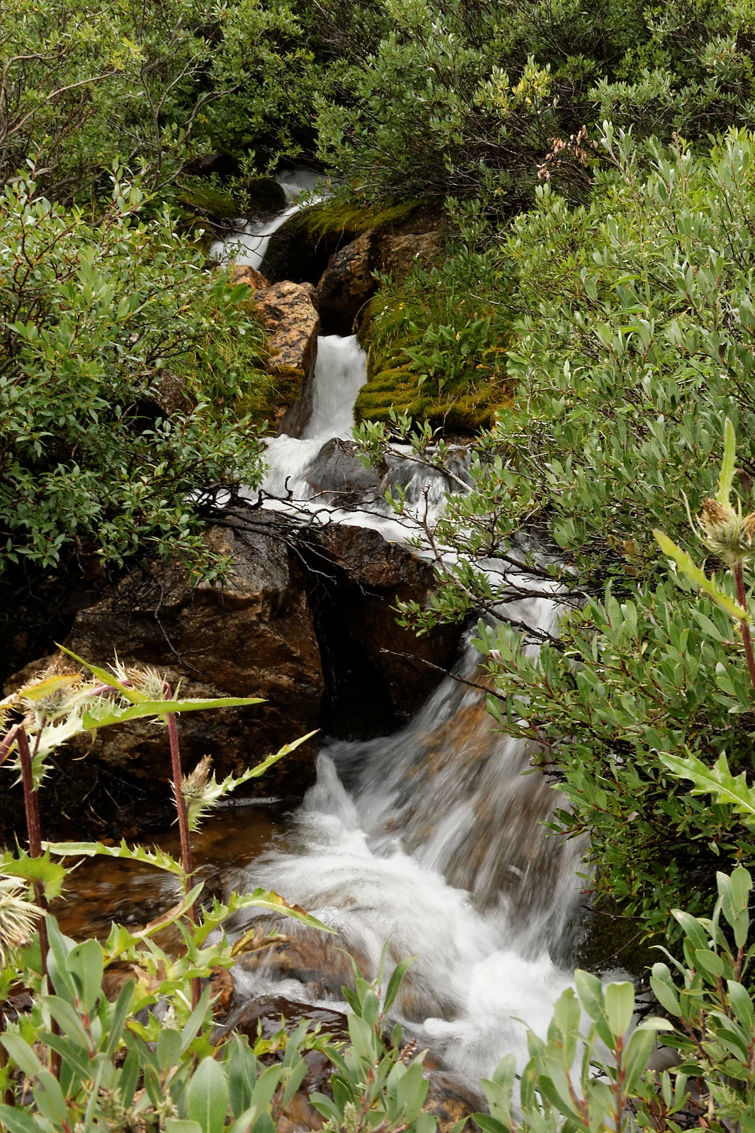 DSC_7438_web.jpg