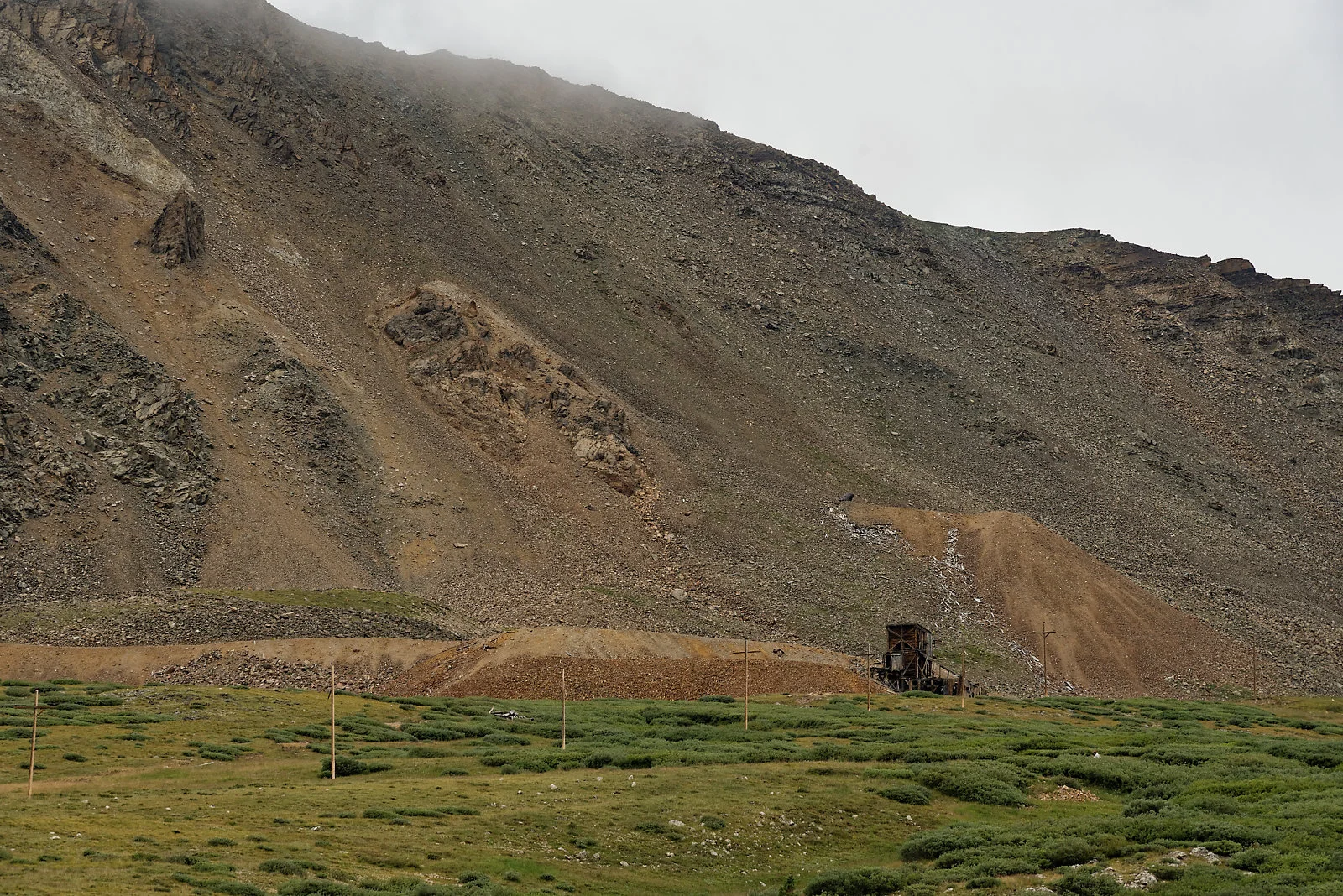 DSC_7442_web.jpg