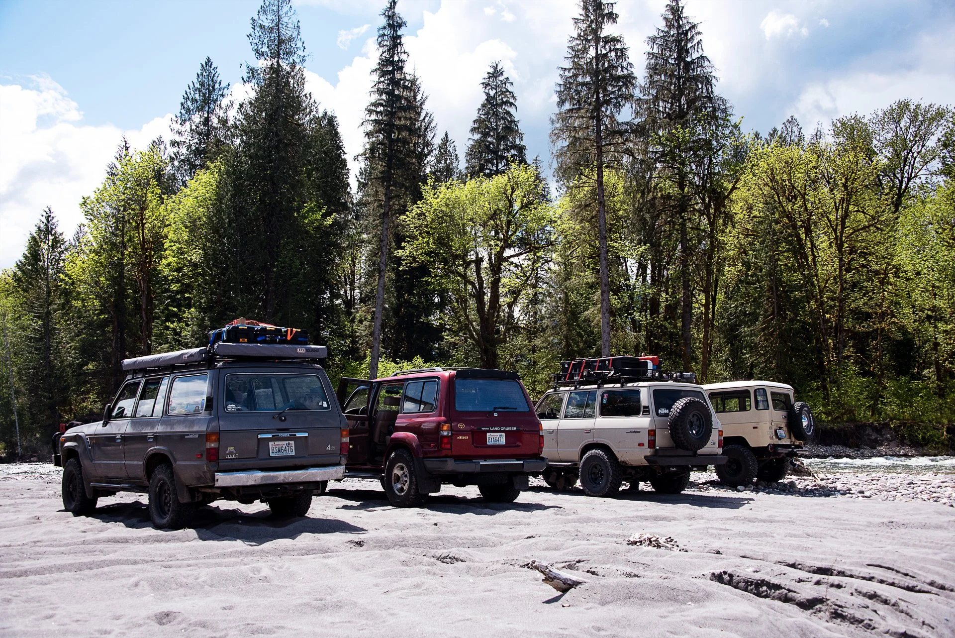DSC_8695-1.jpg