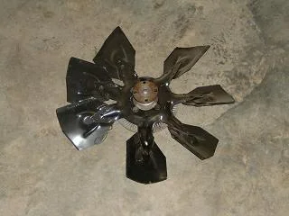 DSCF0001-1.webp