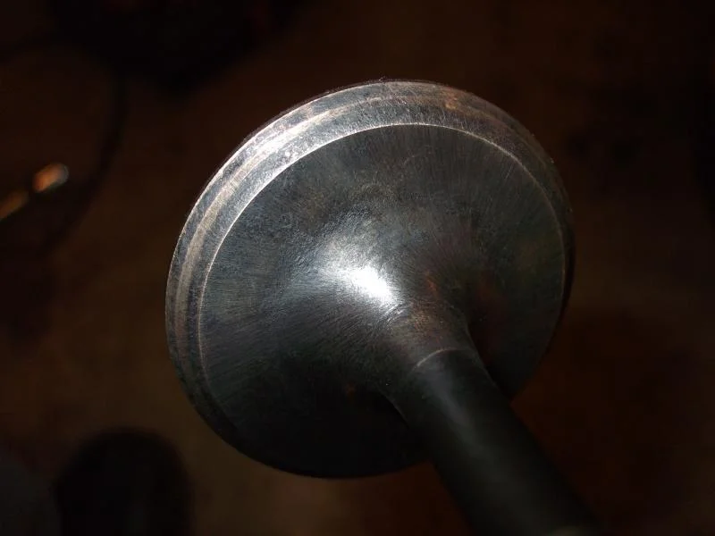 DSCF0053.webp