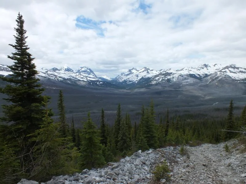 DSCF0055.webp