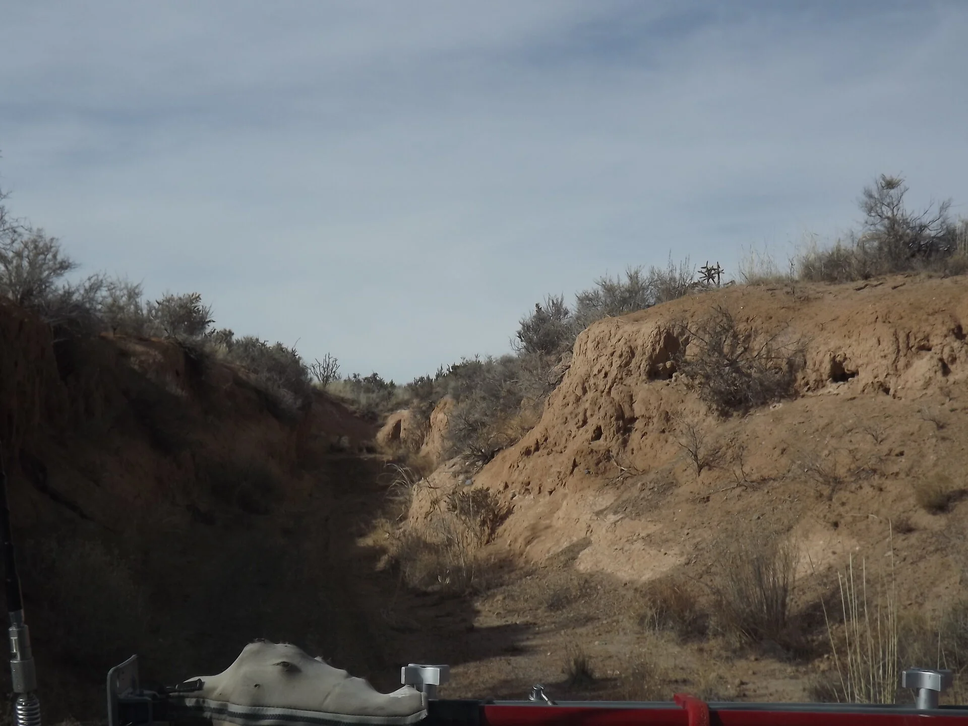 DSCF0066.webp