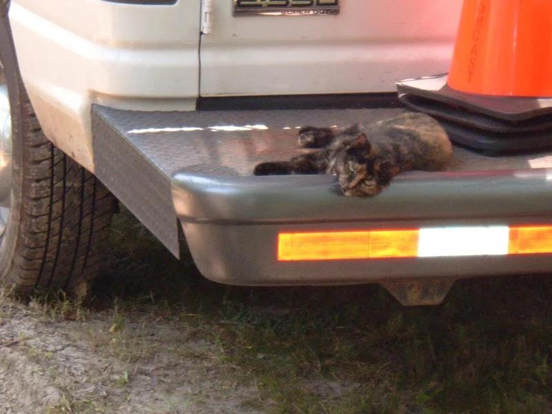 DSCF0146.webp