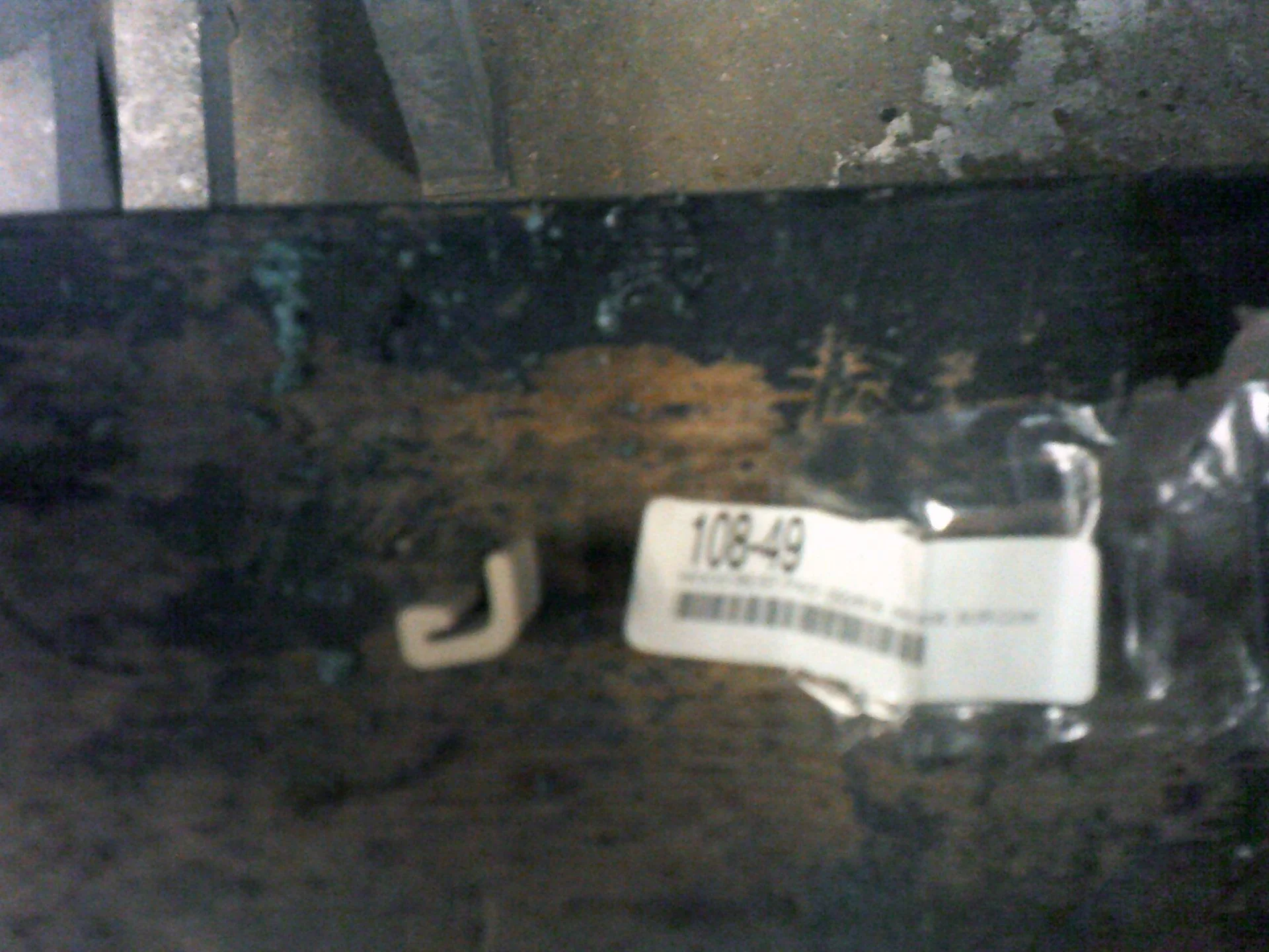 DSCF0180.webp