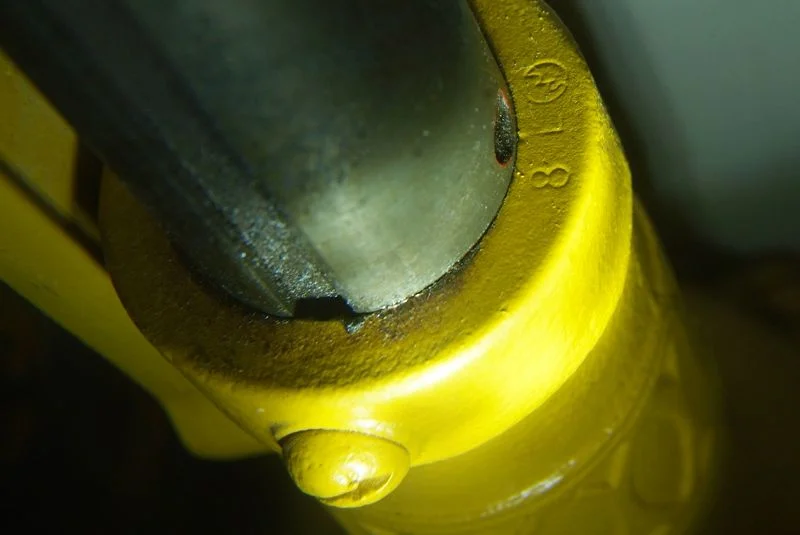 DSCF0248.webp