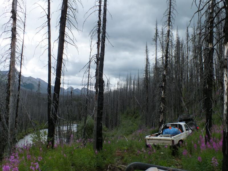 DSCF0317.jpg