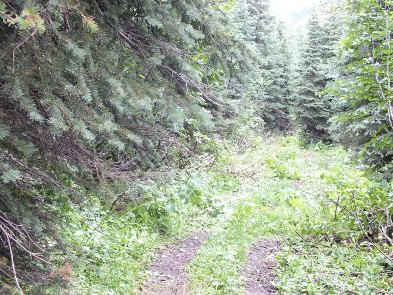 DSCF0322.webp