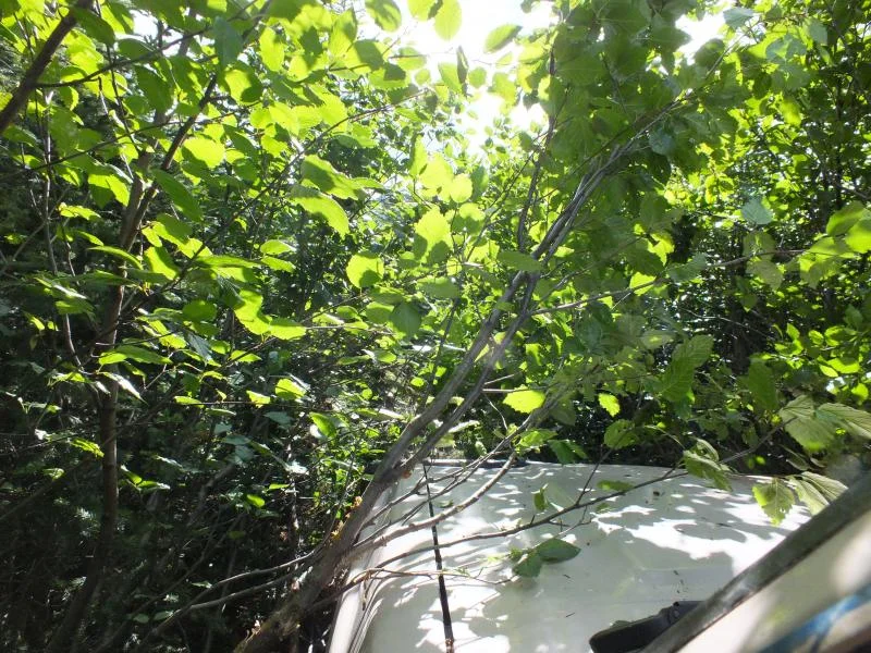 DSCF0328.webp