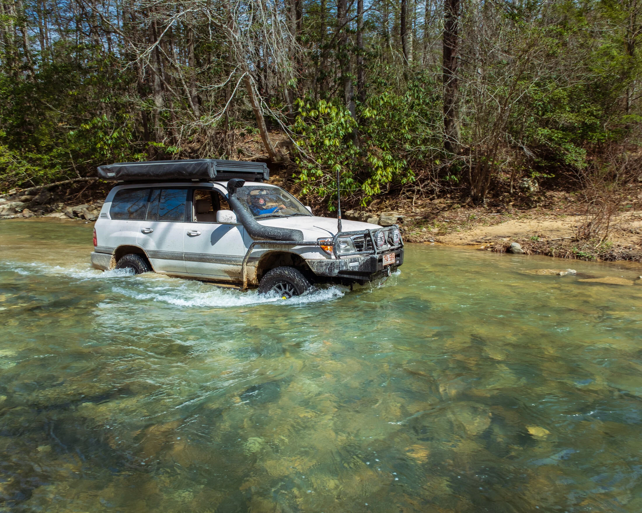 DSCF0334.webp