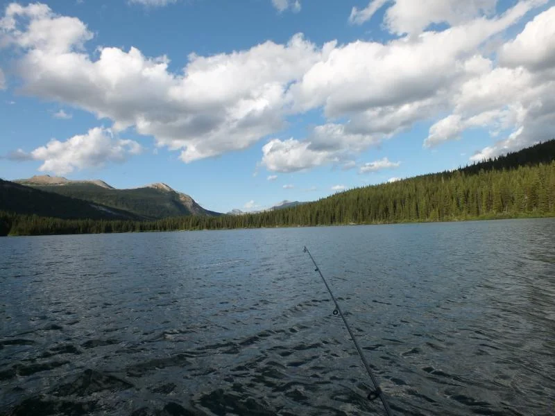 DSCF0338.webp