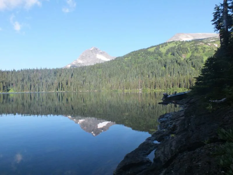 DSCF0342.webp