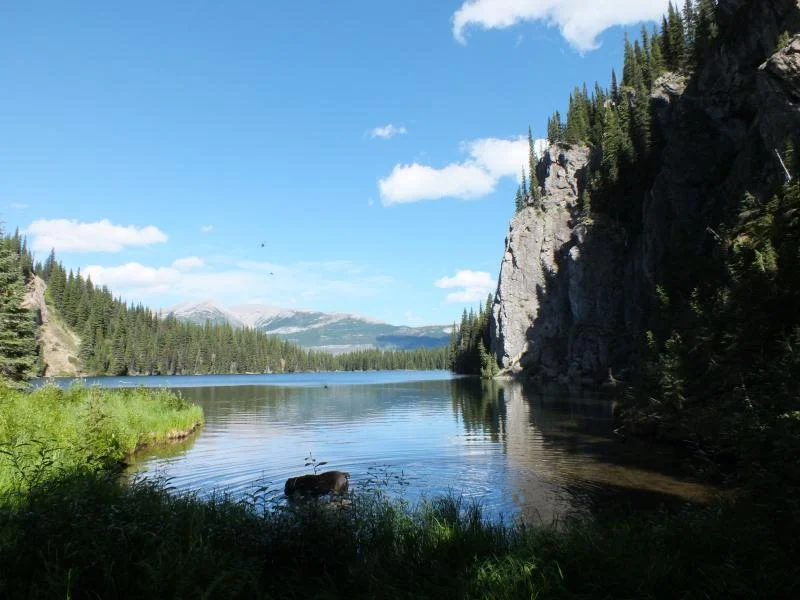 DSCF0344.webp