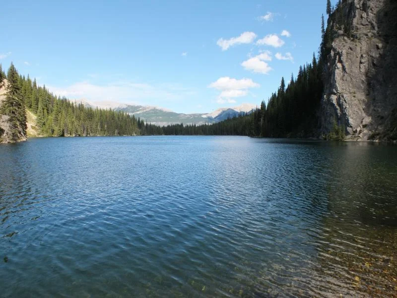 DSCF0347.webp