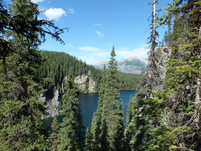 DSCF0352.webp