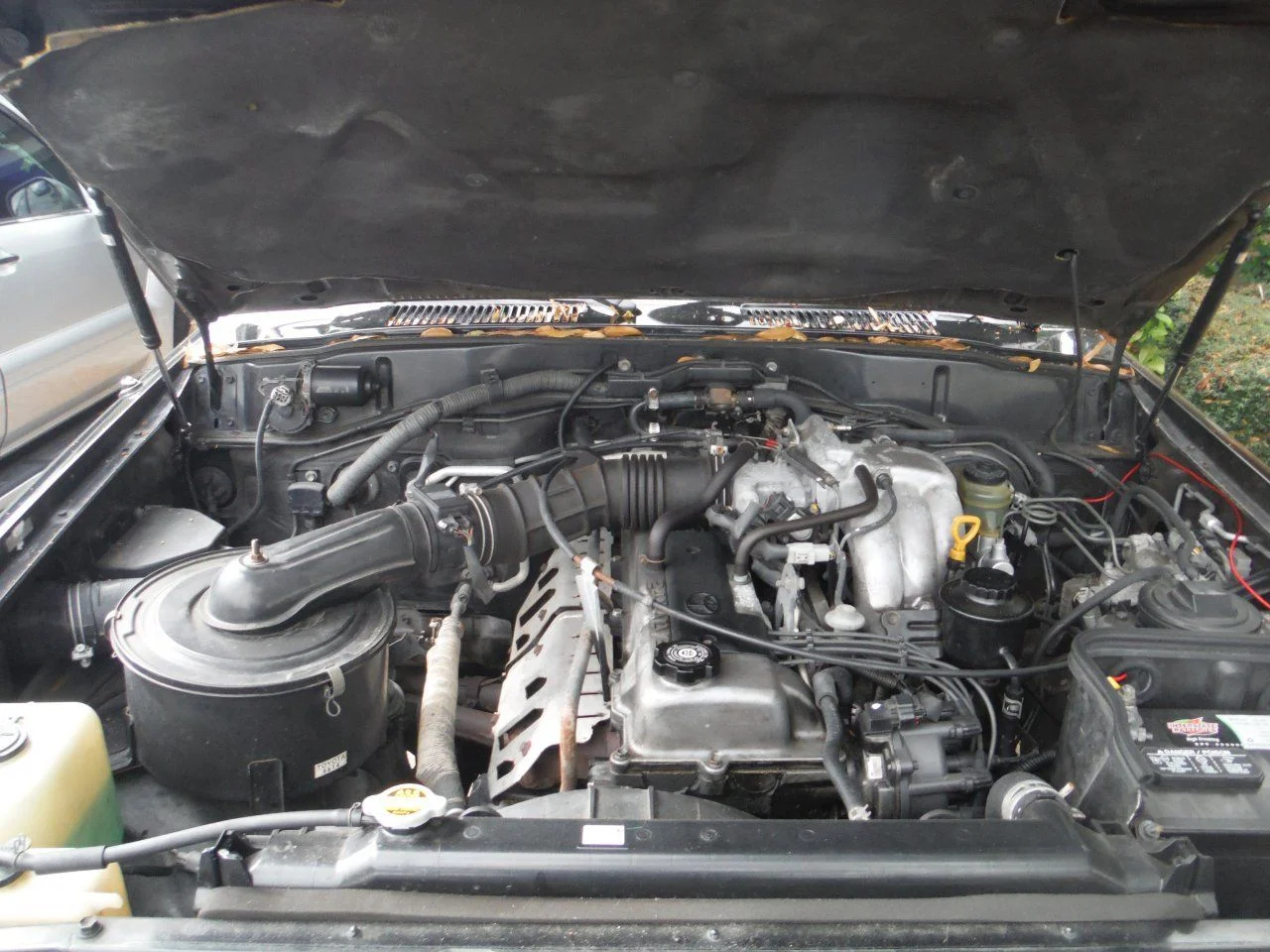 DSCF0362.webp