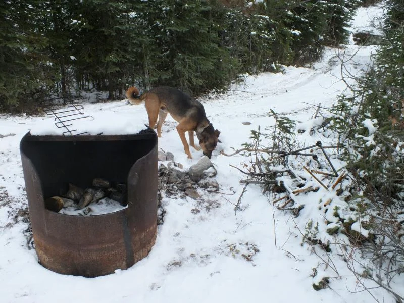 DSCF0481.webp