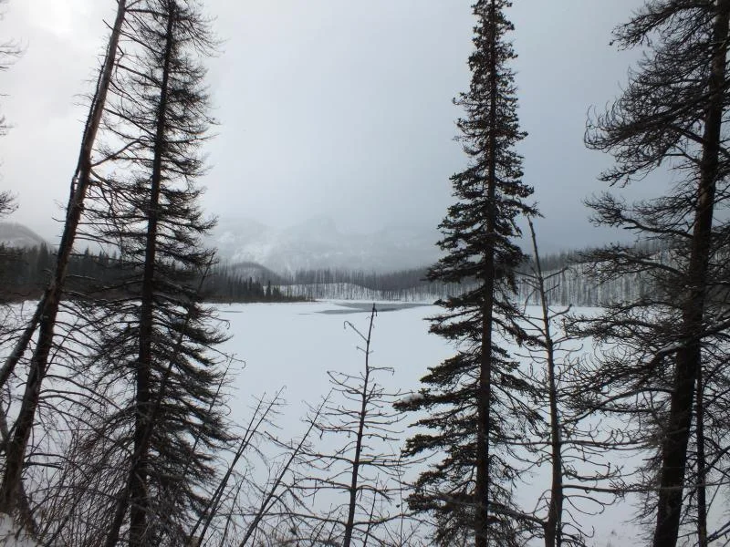 DSCF0495.webp