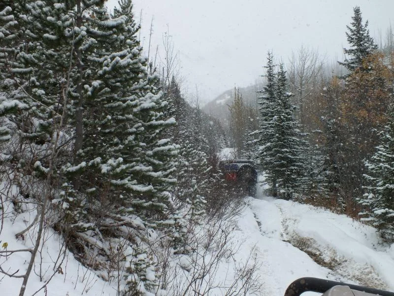DSCF0498.webp