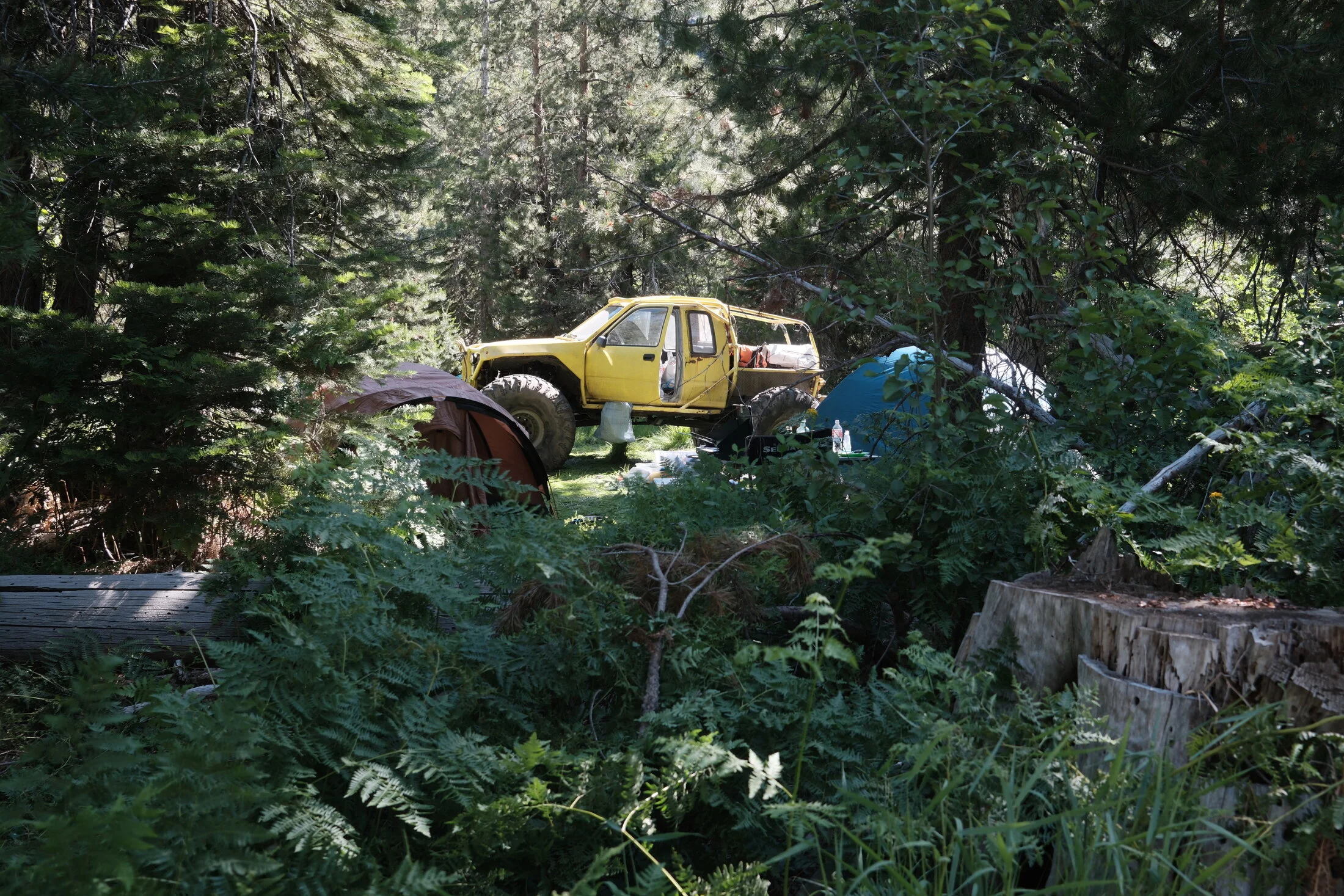 DSCF0577.webp