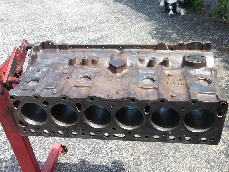 DSCF0586.webp