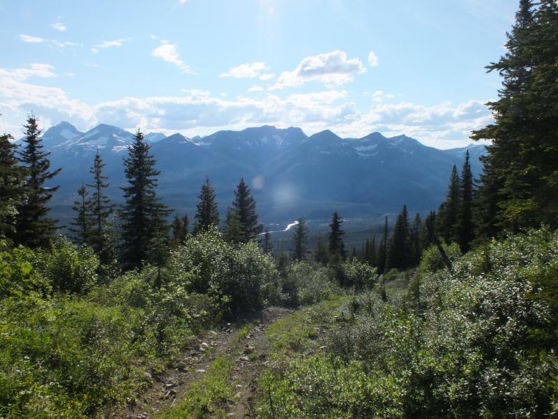 DSCF0628.jpg