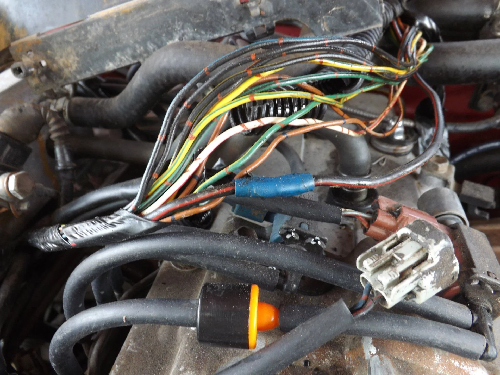 DSCF0628.webp