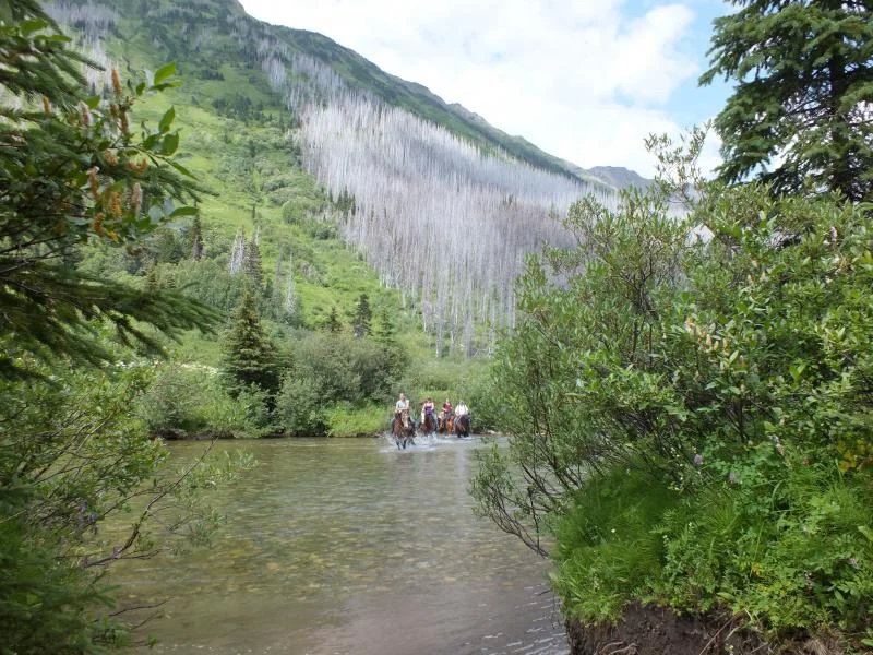 DSCF0654.webp