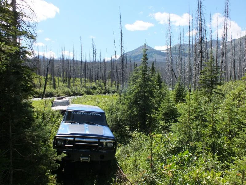 DSCF0659.webp