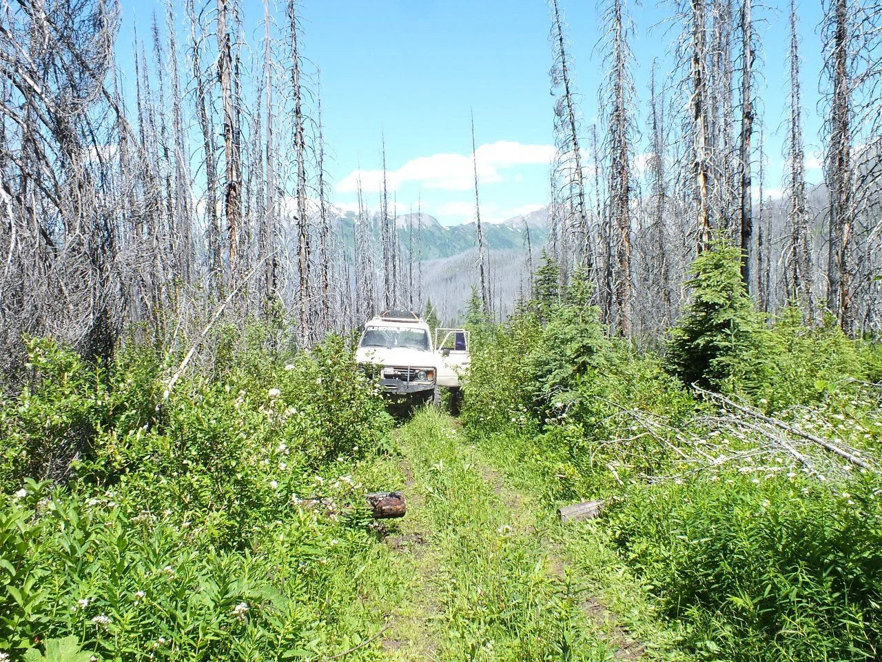 DSCF0741.webp