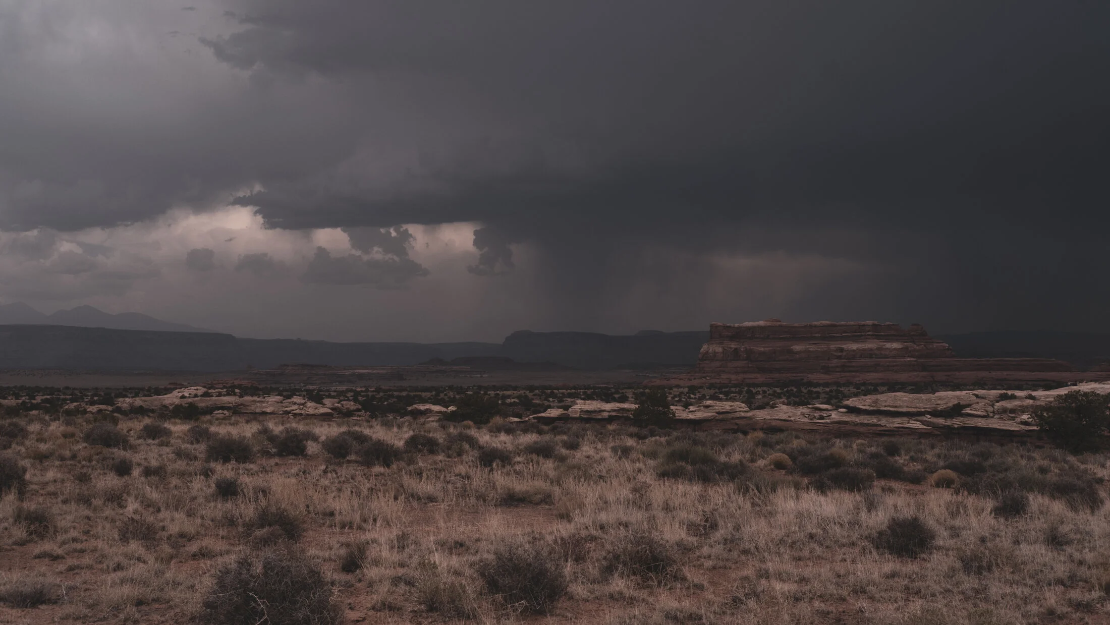 DSCF0783.webp