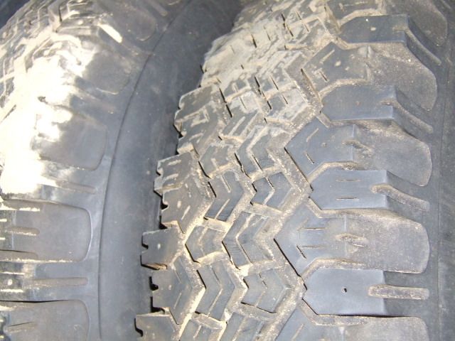 DSCF0804.JPG
