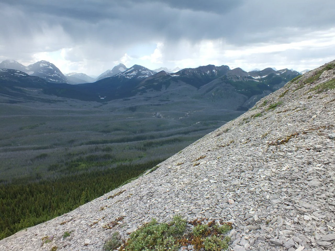 DSCF0822.webp
