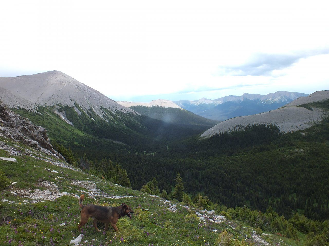 DSCF0826.JPG