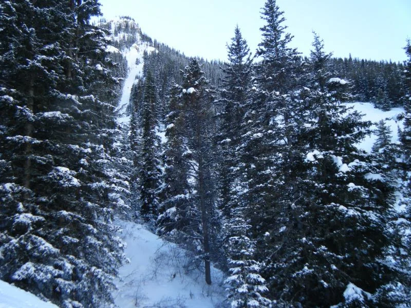 DSCF0864.webp