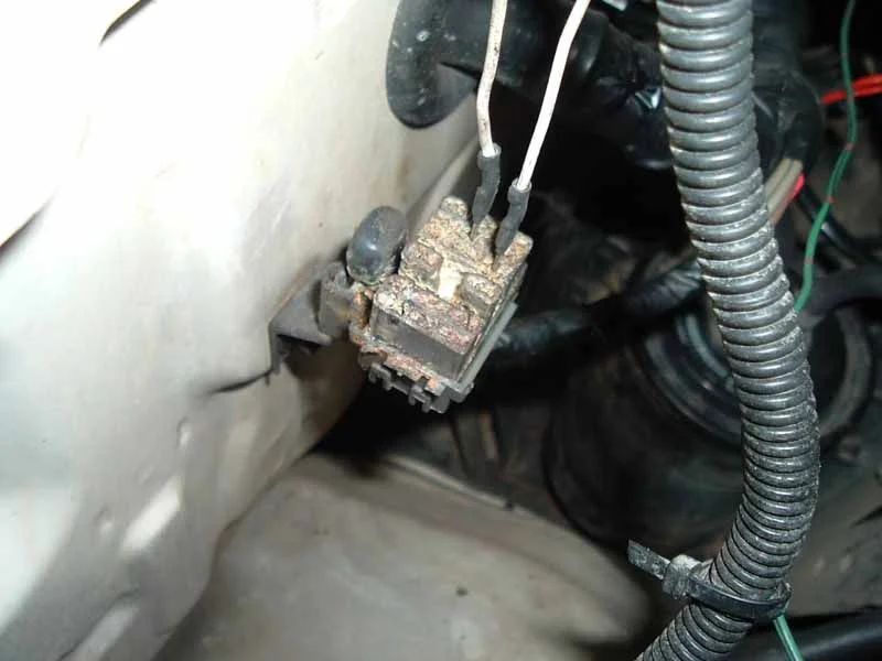 DSCF1051.webp