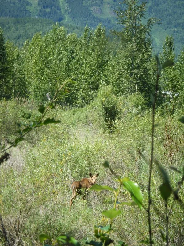 DSCF1158.webp