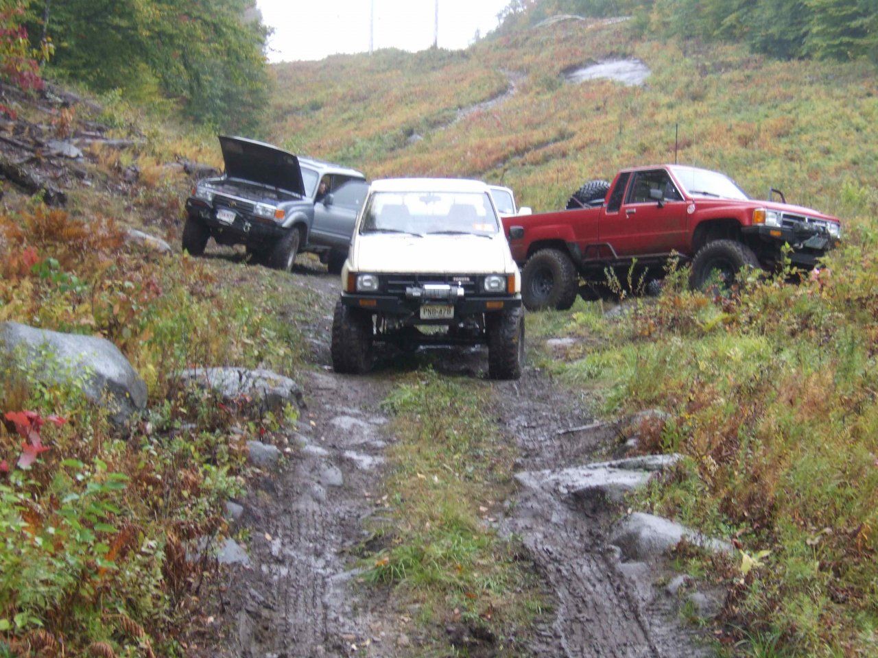 DSCF1206.jpg