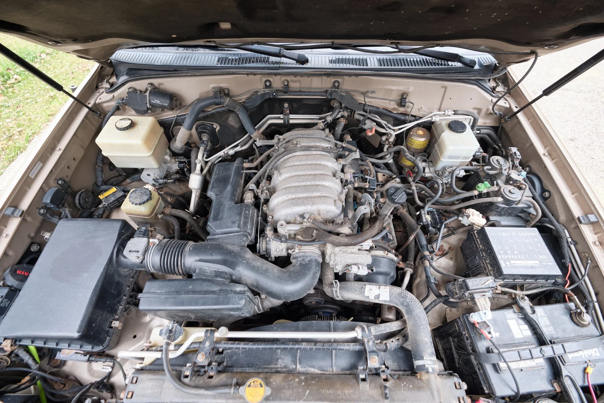 DSCF1305.webp