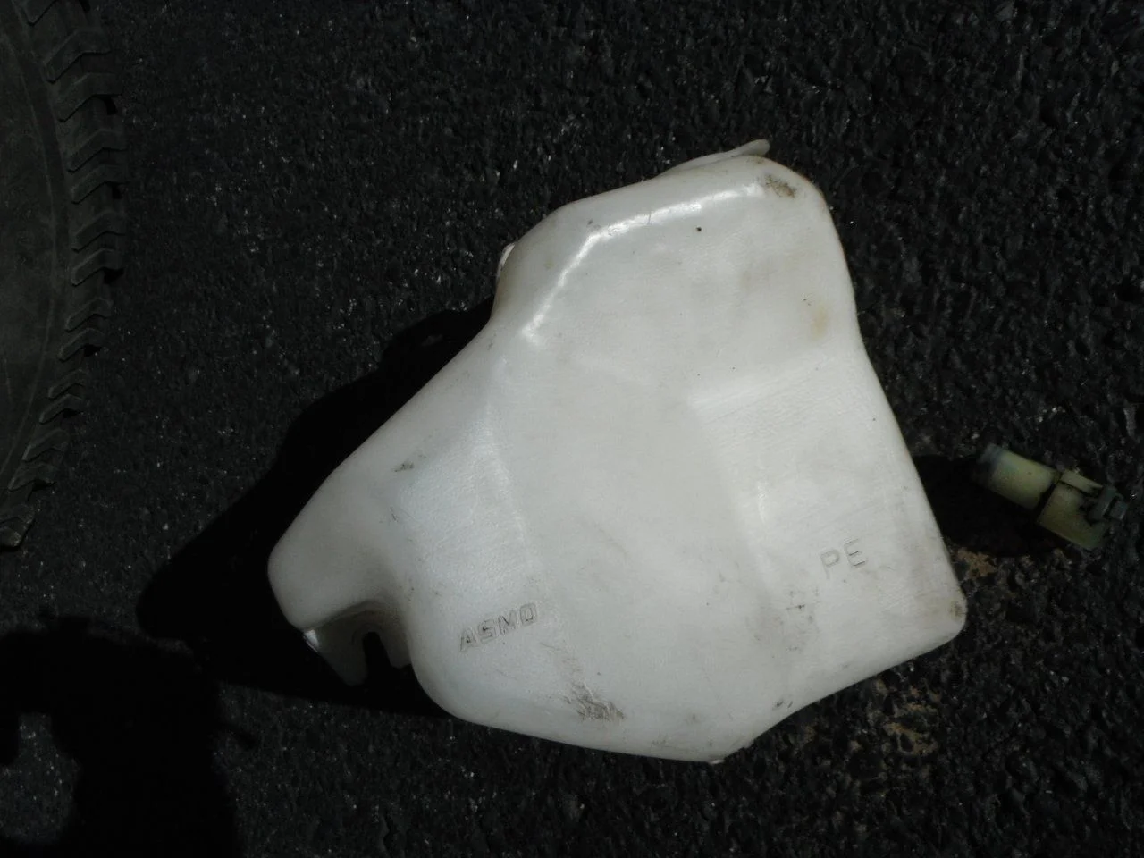 DSCF1334.webp