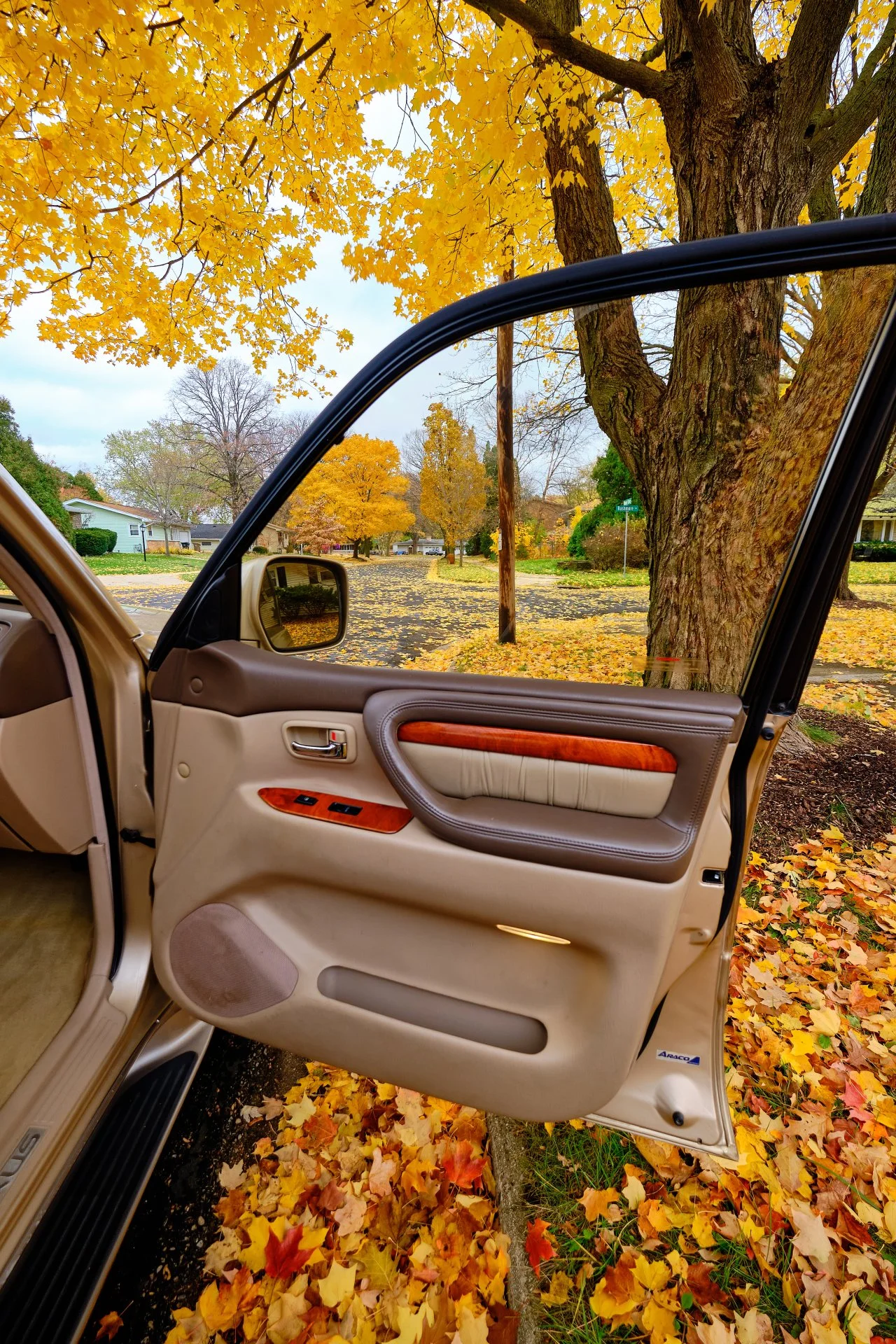 DSCF1381.webp
