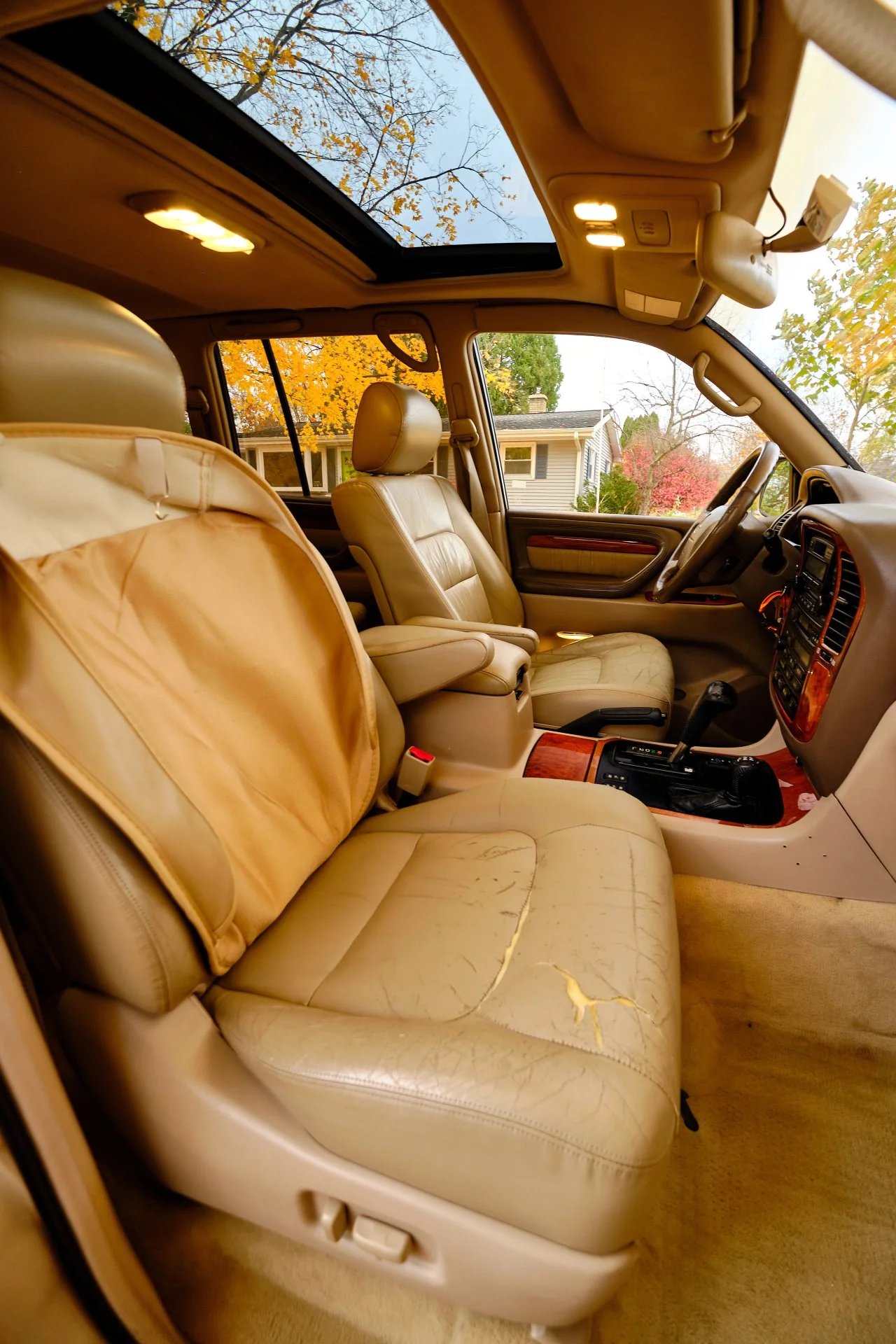 DSCF1387.webp