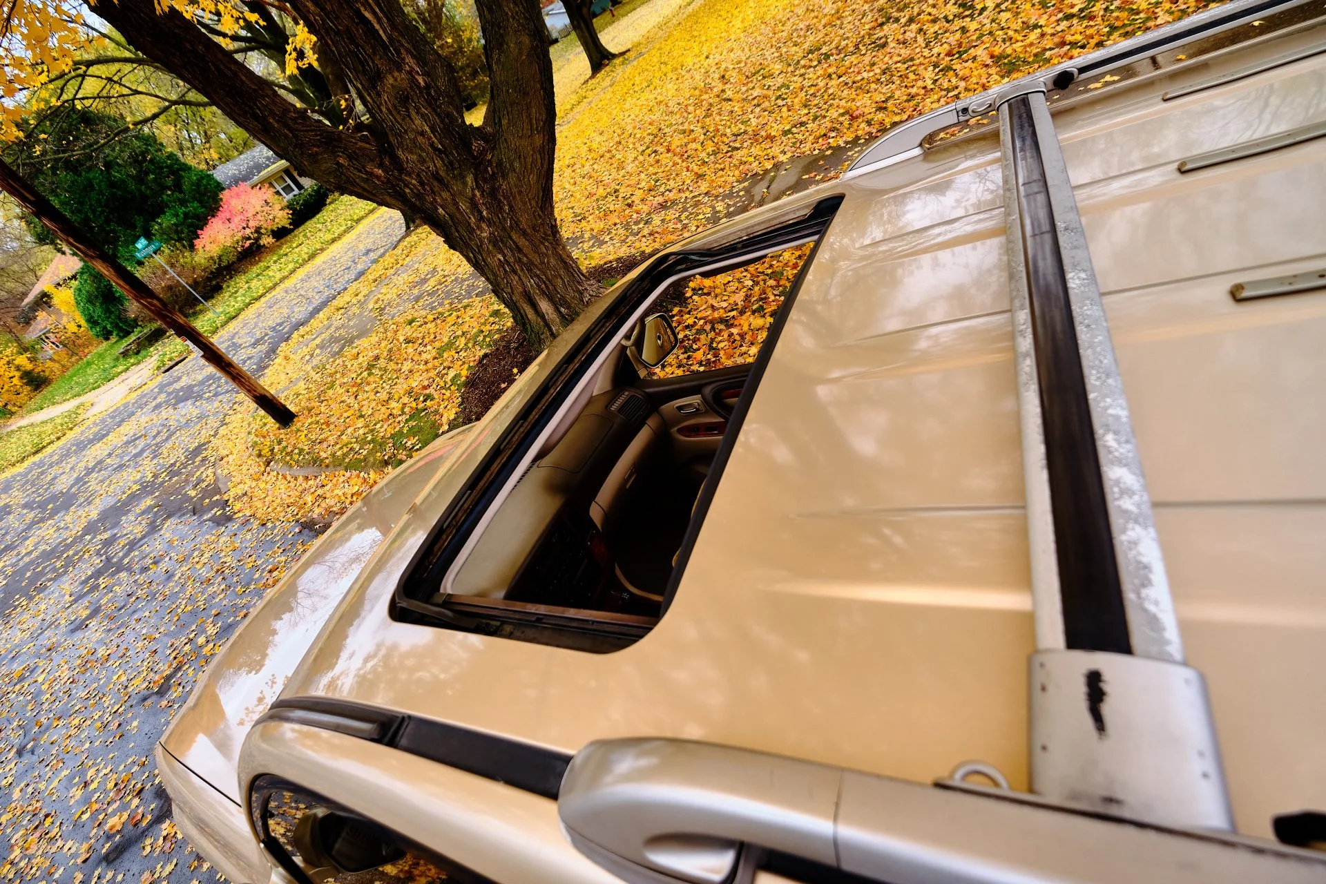 DSCF1406.webp