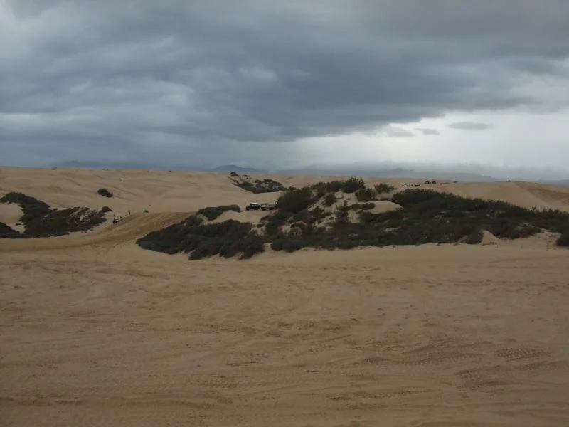 DSCF1625.webp