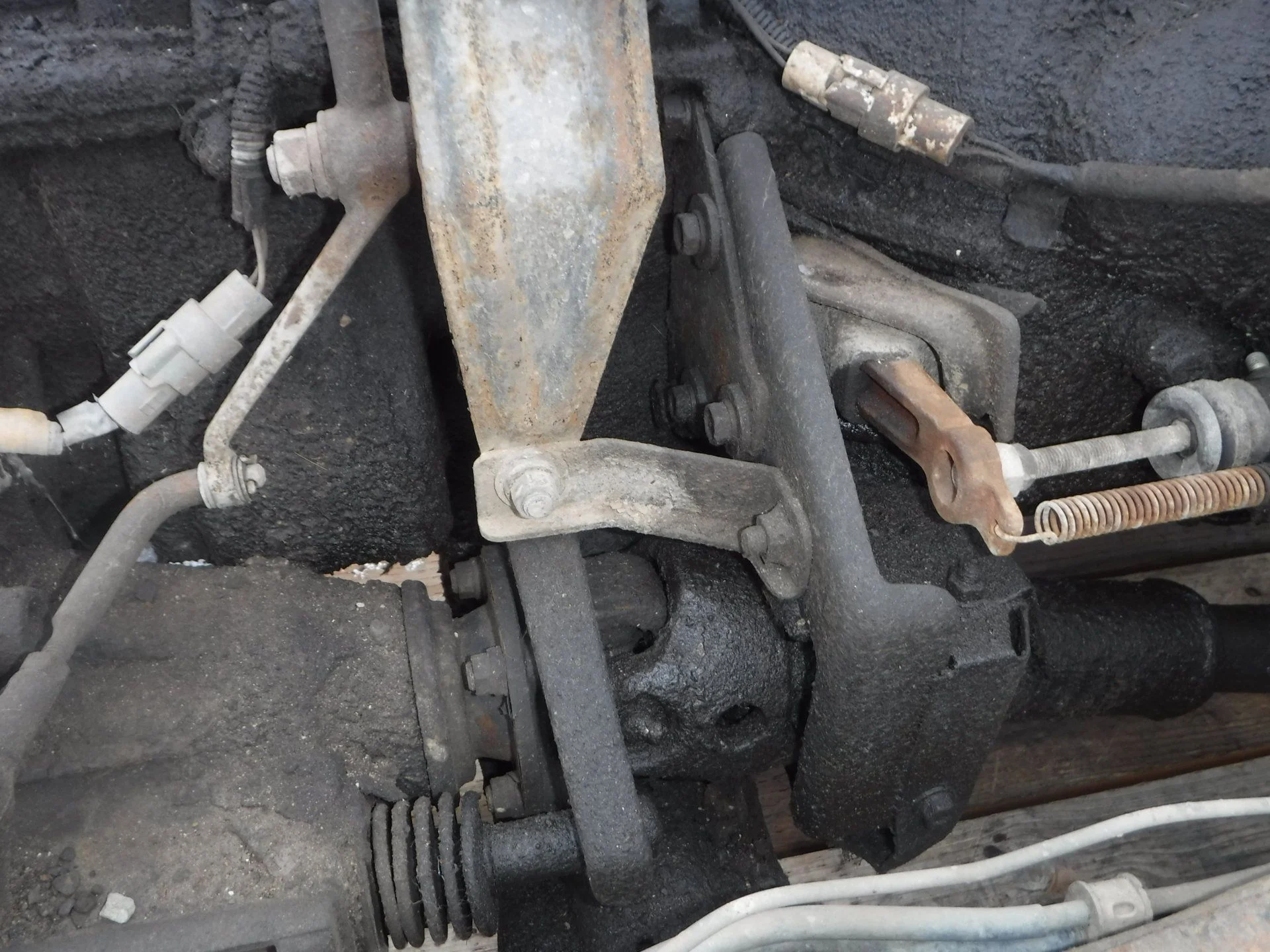 DSCF1706.webp