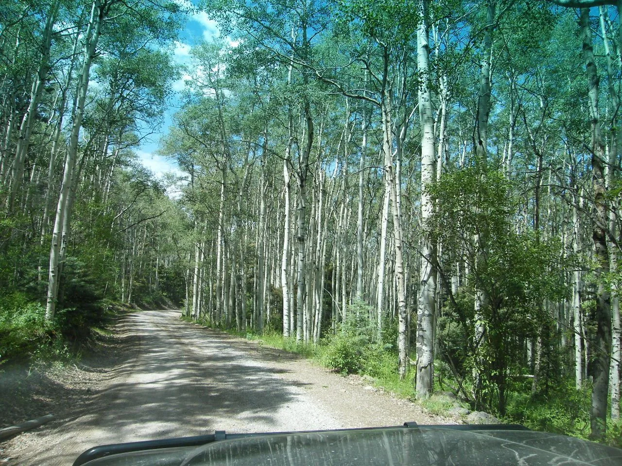 DSCF1820.webp