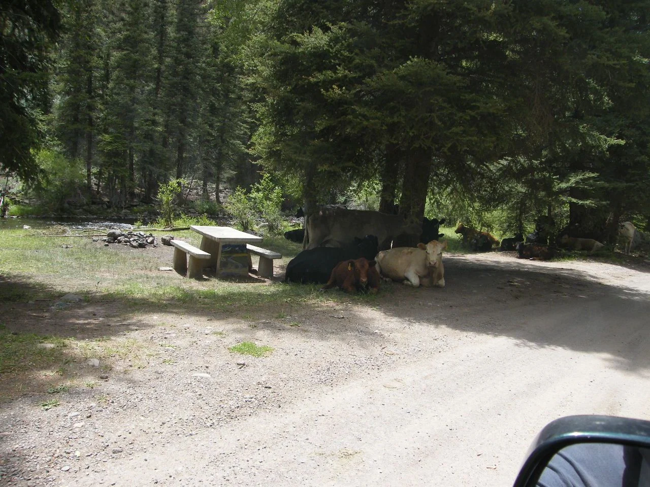 DSCF1830.webp