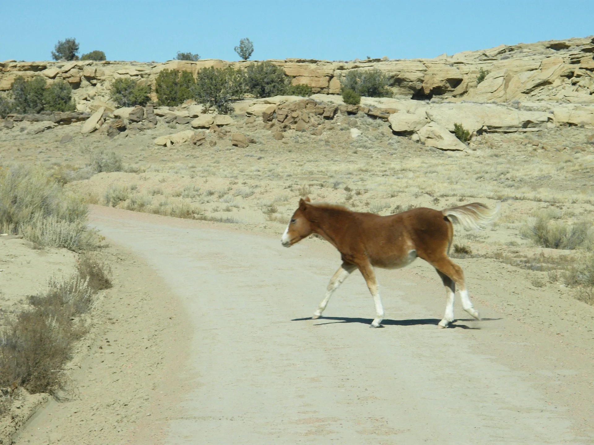 DSCF1963.webp